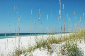 Top Of The Gulf 625 'Beach Perfect'